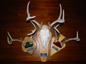 Standard and European Mounts